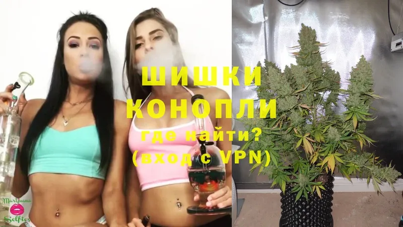 купить наркотик  Николаевск  Бошки марихуана THC 21% 